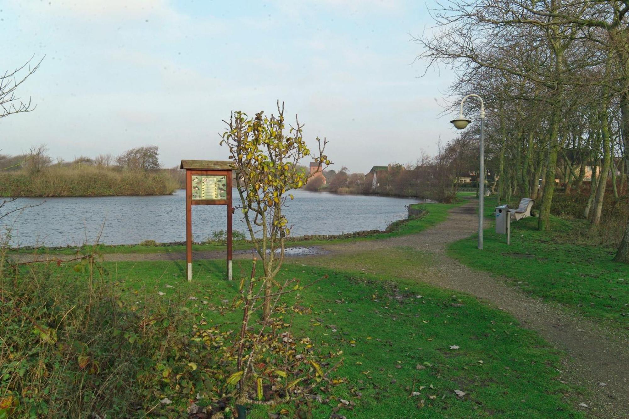 Wildente-app-7 * Wenningstedt-Braderup